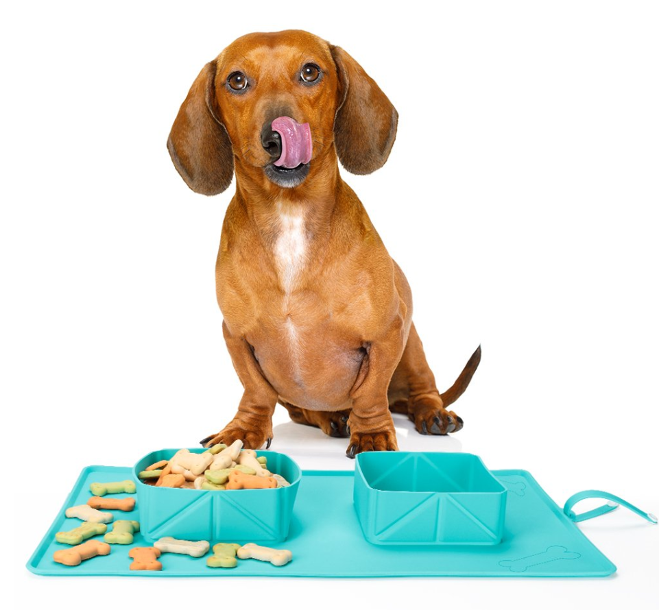 Collapsible Silicone Pet Bowl