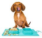 Collapsible Silicone Pet Bowl