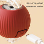 Interactive Smart Rolling Pet Ball