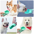 Outdoor Drink & Feed Cup