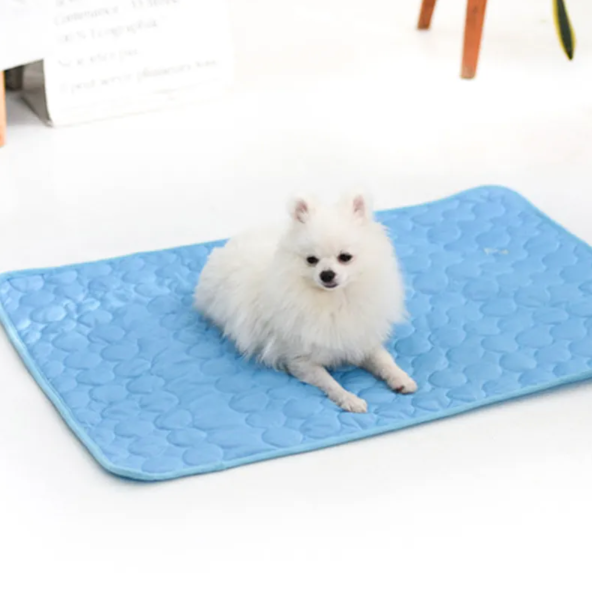 FrostyPaw™ Ice Silk Cooling Mat